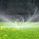 sprinkler