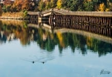5 things to do in and around Victoria this Wednesday, June 3rd