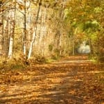 Matt Ferguson Photography – Lochside Trail