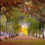 University of Victoria – ItkasanImages