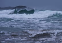 Here’s what you need to know about the Kelvin wave heading toward Greater Victoria’s coastline