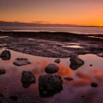 Tidepool Reflections