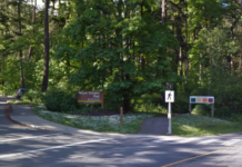 Cordova Bay Road closed through PKOLS after collision: Saanich Police Mt Douglas
