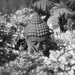 intuitive-arts-evening-buddhahead-550