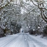 Snowfall Central Saanich