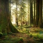 21267863_10154973412257291_1432918024_o