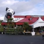 Buckerfield’s Saanich