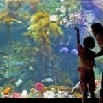 Shaw Centre for the Salish Sea