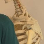 Flesh-and-Bones-Still_compressed