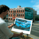 Robert Wyland Victoria Whale Wall