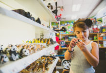 End of an era as a decades-old Sidney toy store prepares to close