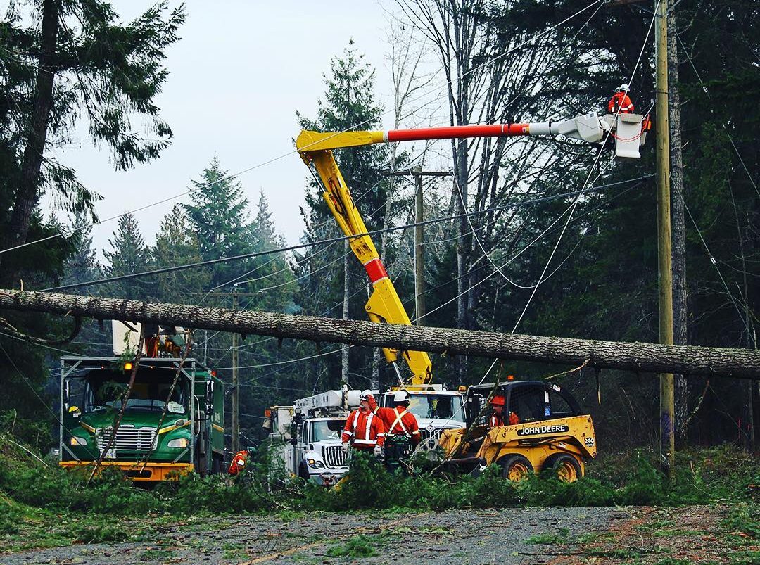 Wind warning and snow risk issued for Greater Victoria as storm approaches