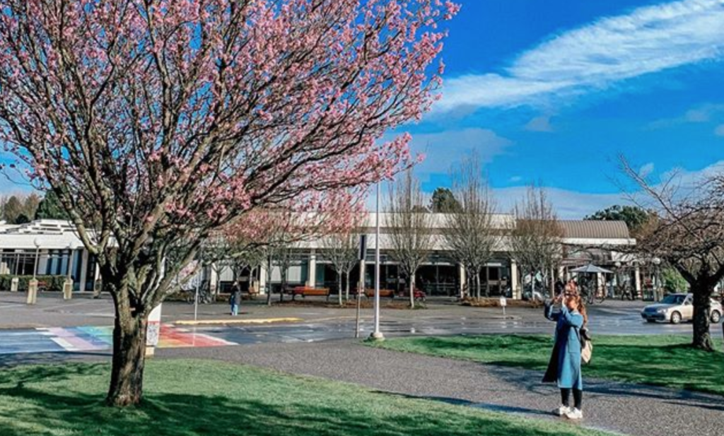 $1.3M donation will expand UVic’s Indigenous science programs across Vancouver Island