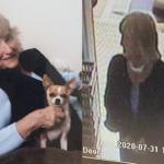 missing 80 year old woman.fw