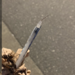 needle beacon hill park