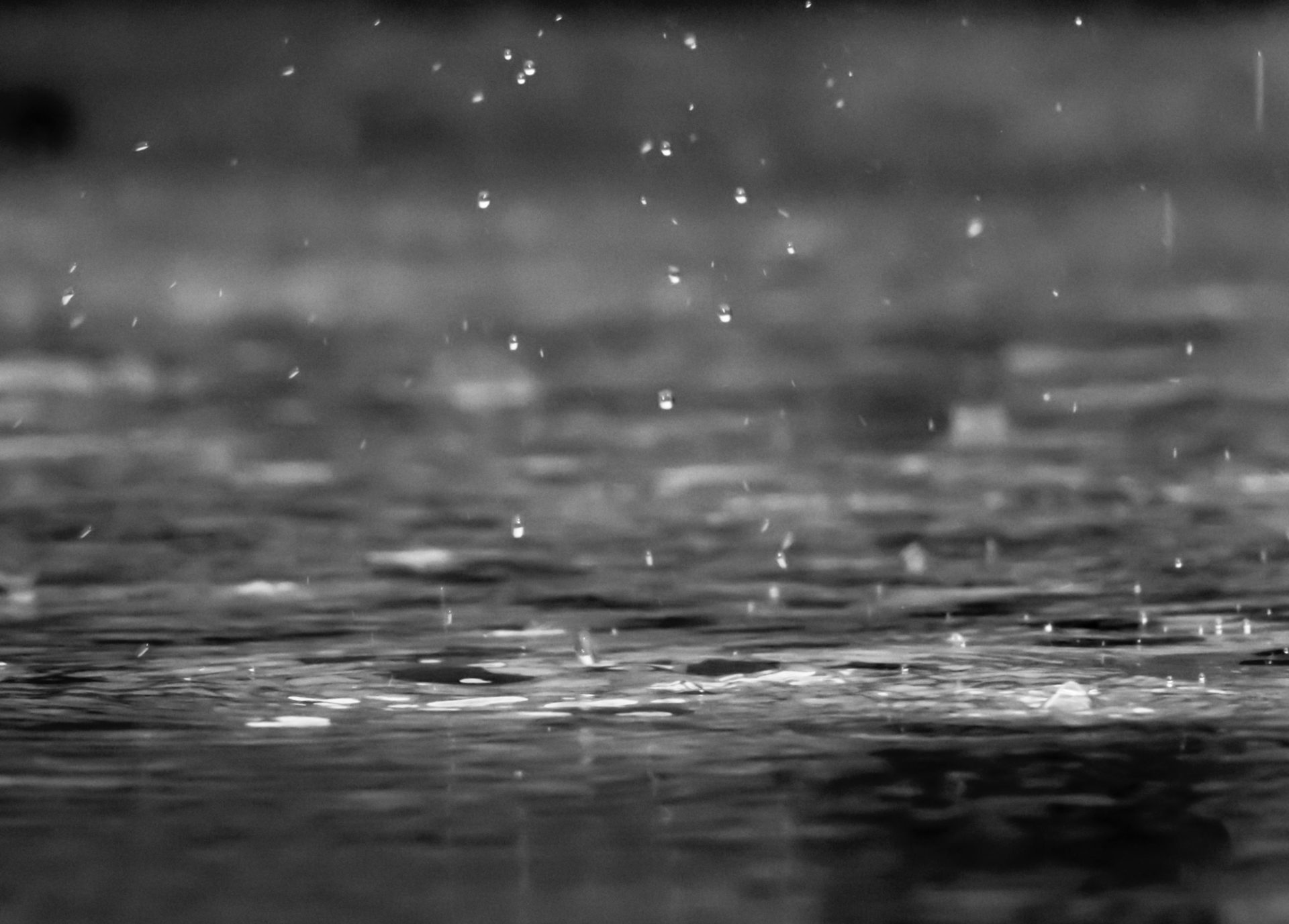 Greater Victoria weather forecast calls for rainy week