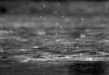 Atmospheric river set to soak Vancouver Island with heavy rain through midweek