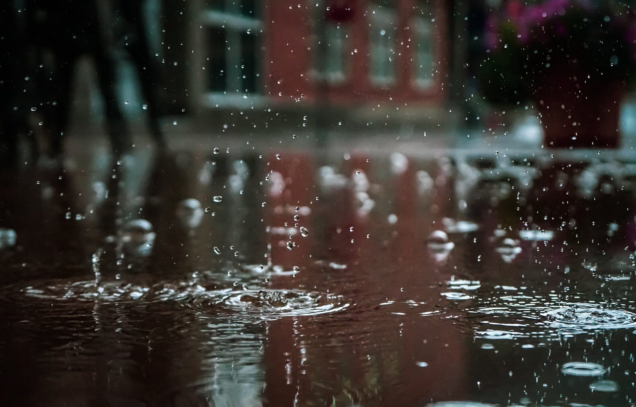 Rainfall warning issued for parts of Vancouver Island with up to 100 mm expected