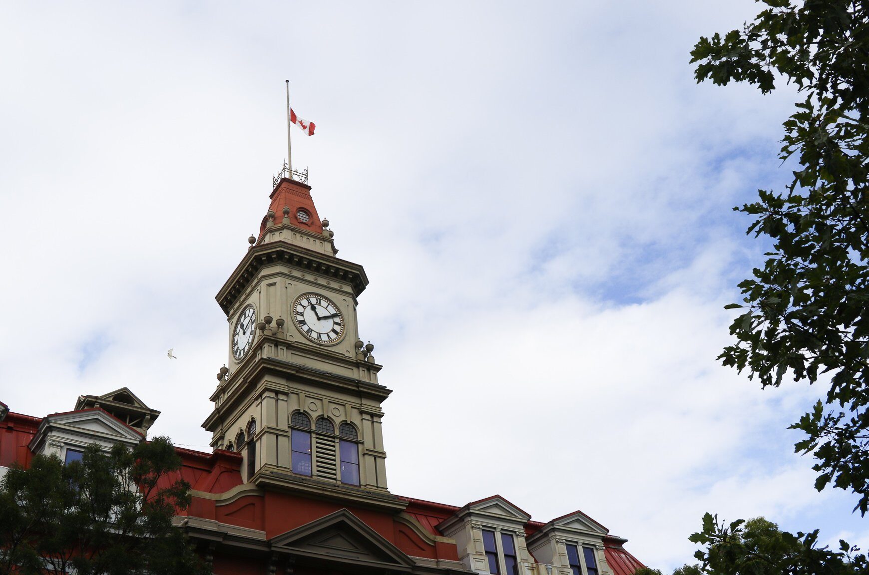 Victoria providing $25K to projects launched for youth of African descent