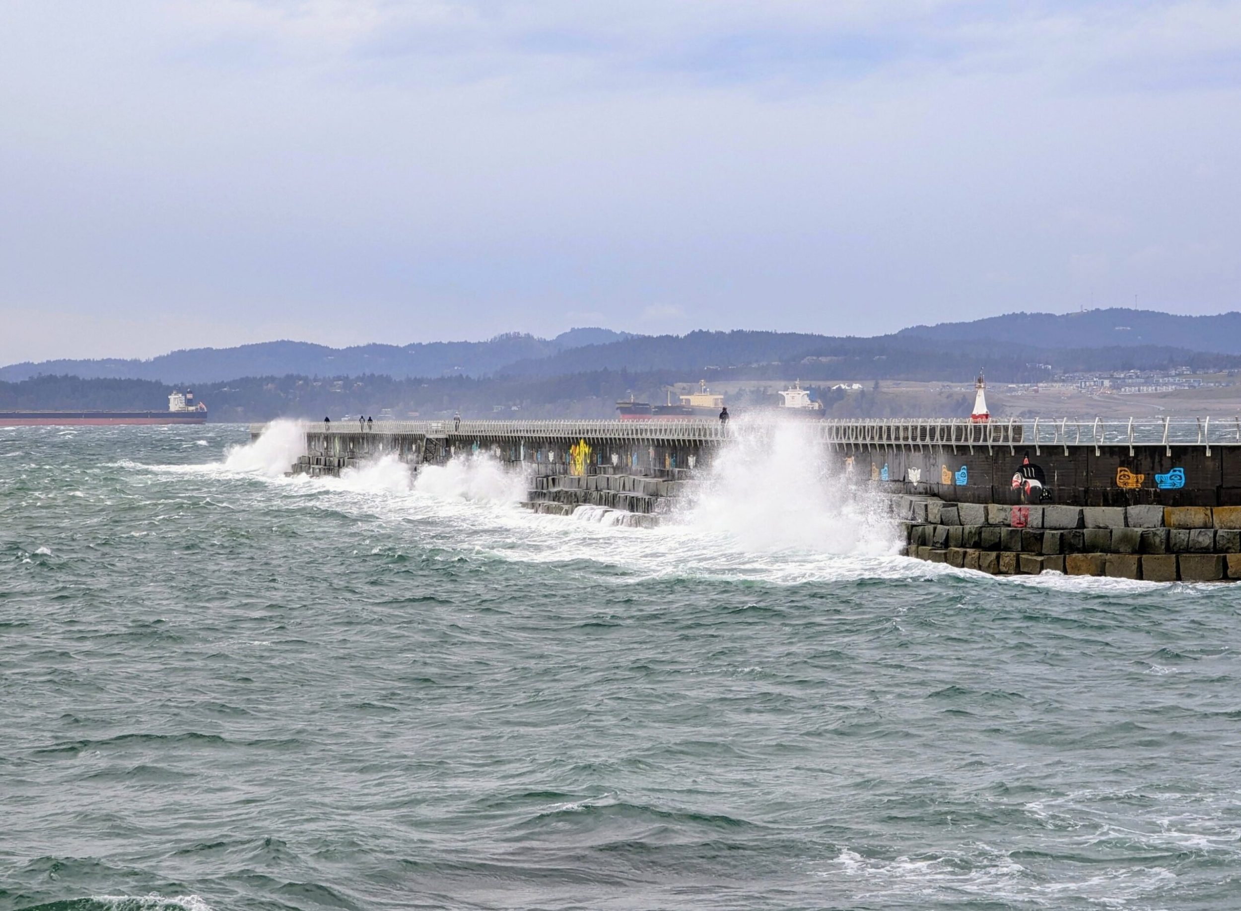 Environment Canada warns of 90 km/h wind gusts in Greater Victoria