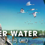 WOW_Victoria Buzz_970x250