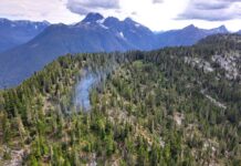 4 new wildfires discovered on Vancouver Island deemed ‘out of control’