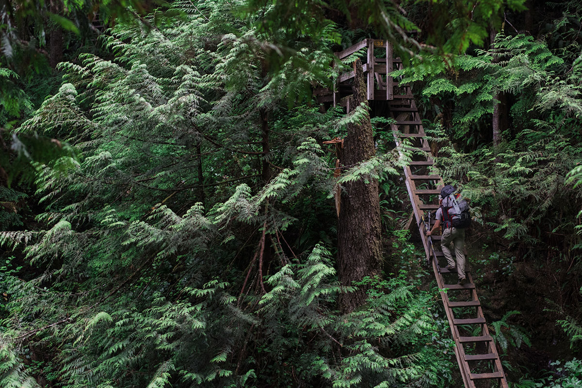 Vancouver Island trail ranked one of the most photographed trails in