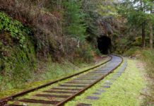Saanich youth council fights for a future passenger rail between Langford and Vic West