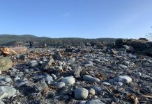 Coastal flooding statement issued for parts of southern Vancouver Island overnight