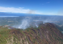 20 wildfires currently active burning on Vancouver Island