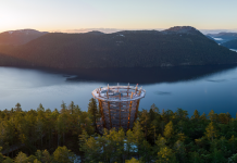 7 things to know about Malahat SkyWalk’s brand-new Brewfest happening this weekend