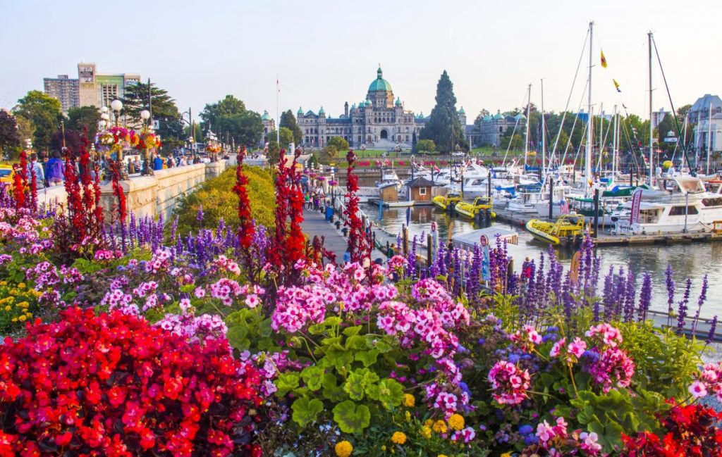 Destination Victoria Victoria named one of the best places to visit in Canada for 2026
