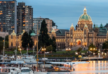Follow live local election results across Greater Victoria tonight