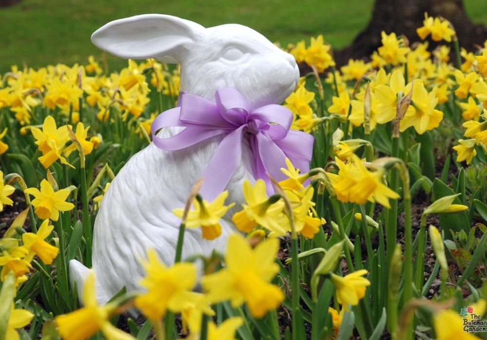 11 Easter events to happening in and around Victoria
