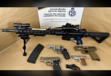 Foreign man given 4 years in prison for alleged gun smuggling at Victoria’s Bellville Terminal