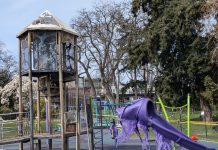 VicPD arrest suspect in alleged arson of Stadacona Park playground