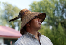 Victorians invited to free documentary screening on Indigenous food sovereignty