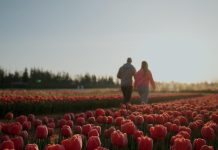 This popular tulip festival is returning to Vancouver Island this weekend