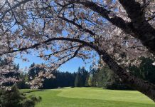 Vancouver Island businessman acquires popular Cowichan Valley golf course