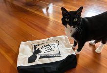 Cats take over Fernwood for one purr-fect afternoon later this month