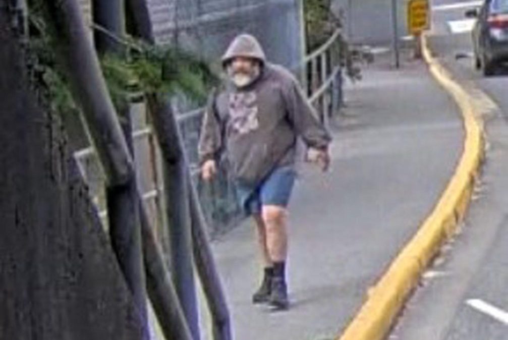 Suspect arrested on Vancouver Island after alleged assault of teenage girl in Horseshoe Bay