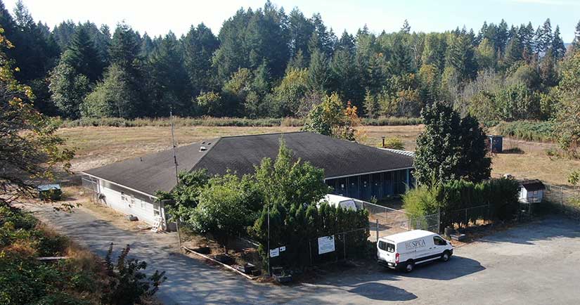Port Alberni man sentenced after shooting neighbour’s dog trapped on his property