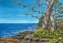 Group of landscape artists bring ‘Wild Places, Wild Women’ exhibit to Sidney