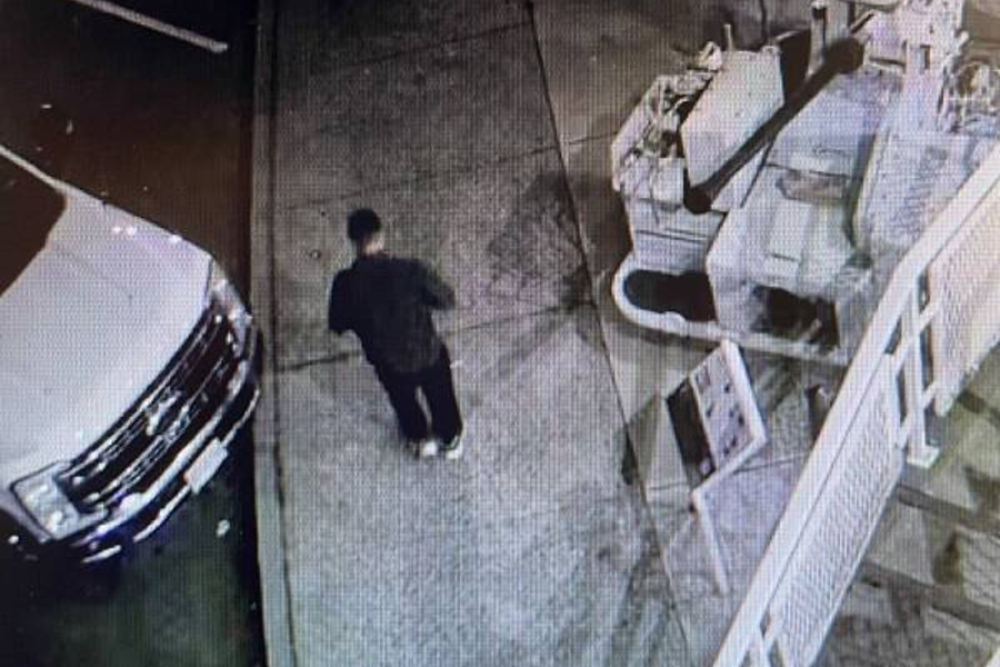 Nanaimo RCMP seek public's help locating shotgun stolen from vehicle