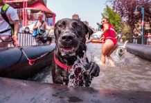 North America’s largest pet festival is coming to Victoria this August