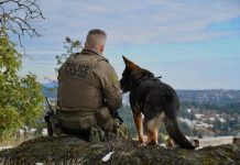 Westshore RCMP honours veteran police dog after her passing