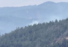 Thunderstorm leaves two new out-of-control wildfires burning on southern Vancouver Island