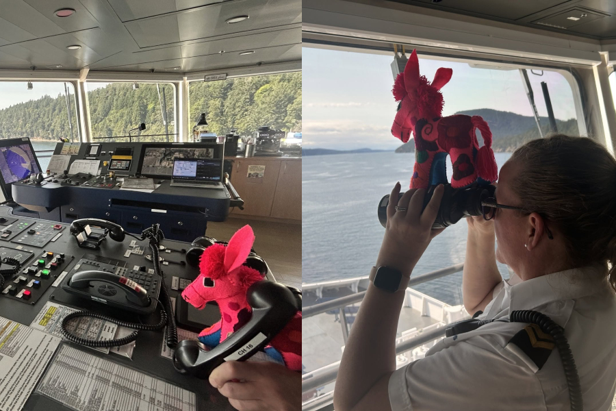 5-year-old boy to be reunited with pink donkey stuffie left behind on BC Ferries vessel