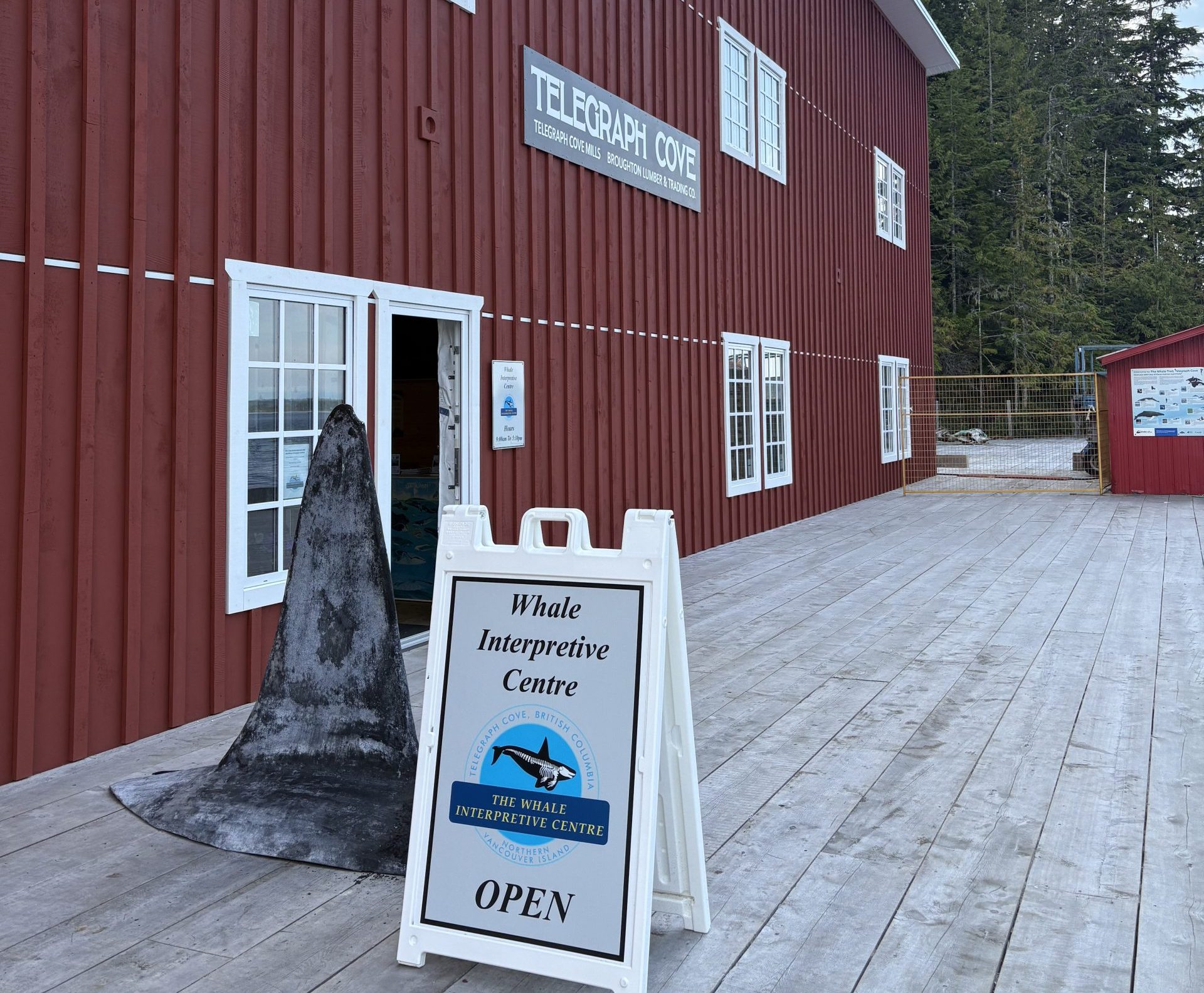 Telegraph Cove's renowned Whale Interpretive Centre re-opens after 2024 fire (PHOTOS)