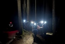 Woman with broken leg watches meteor shower during Jordan River rescue